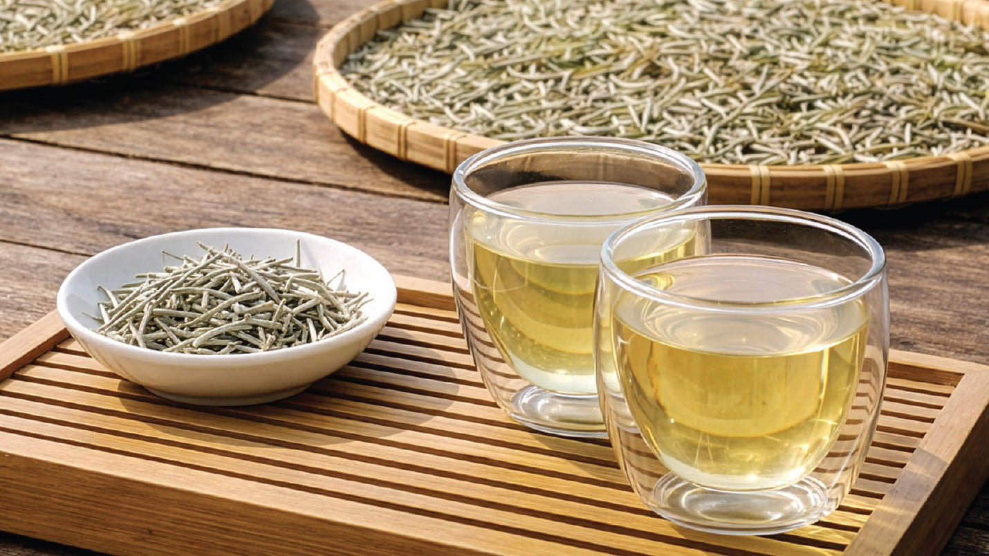 Summer 2026 Quarterly - From Mountain Bud to Cup: The Story of White Tea