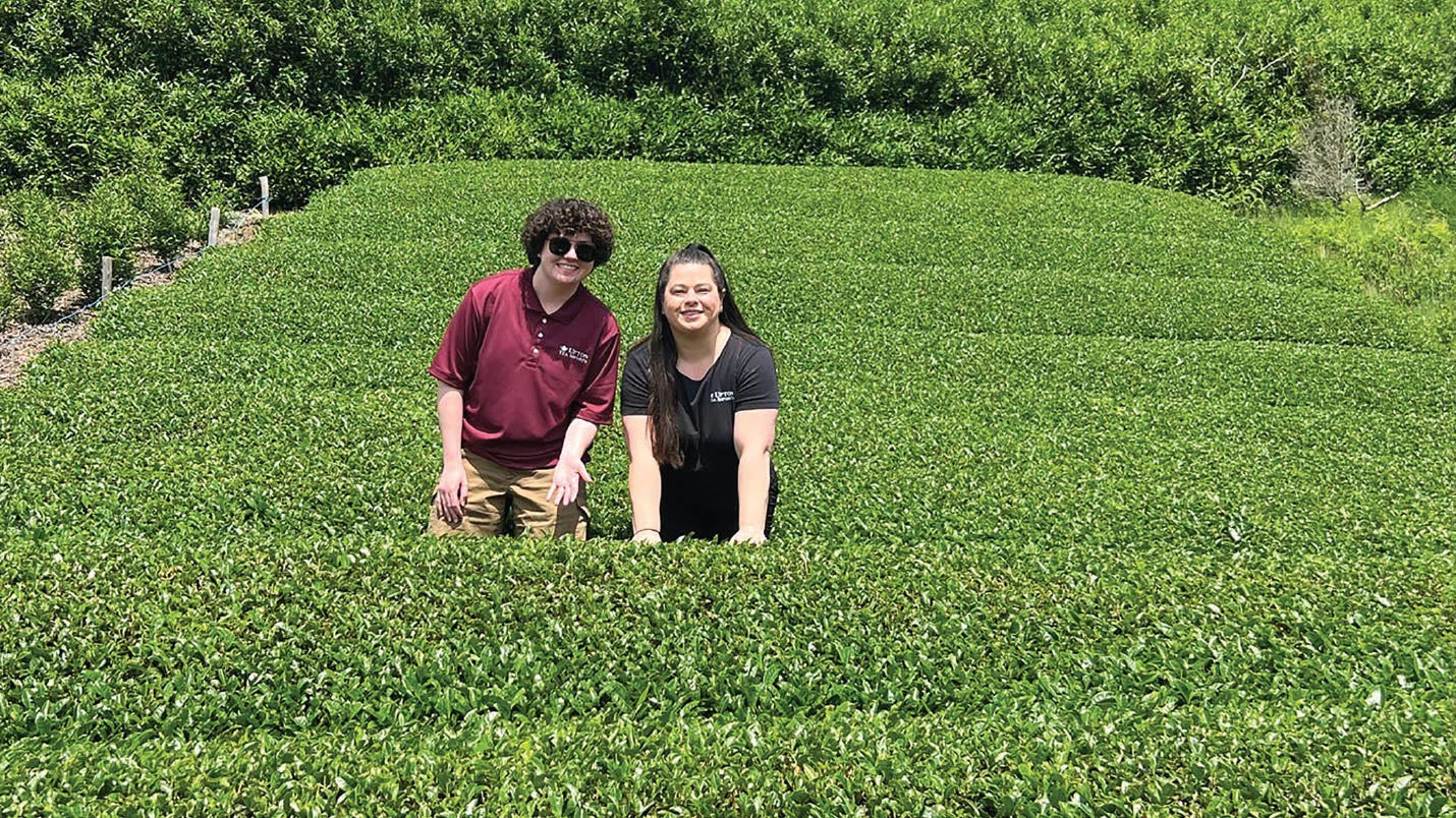 Fall 2023 Quarterly - Kagoshima in Your Cup