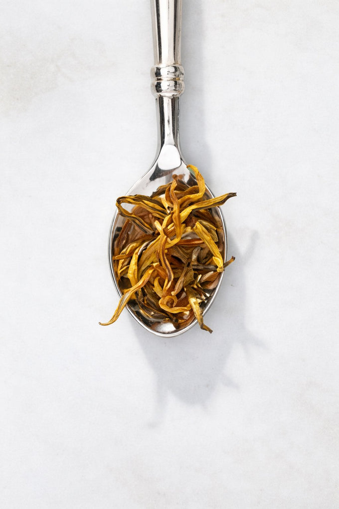 THE GREAT RACE TEA COLLECTION
