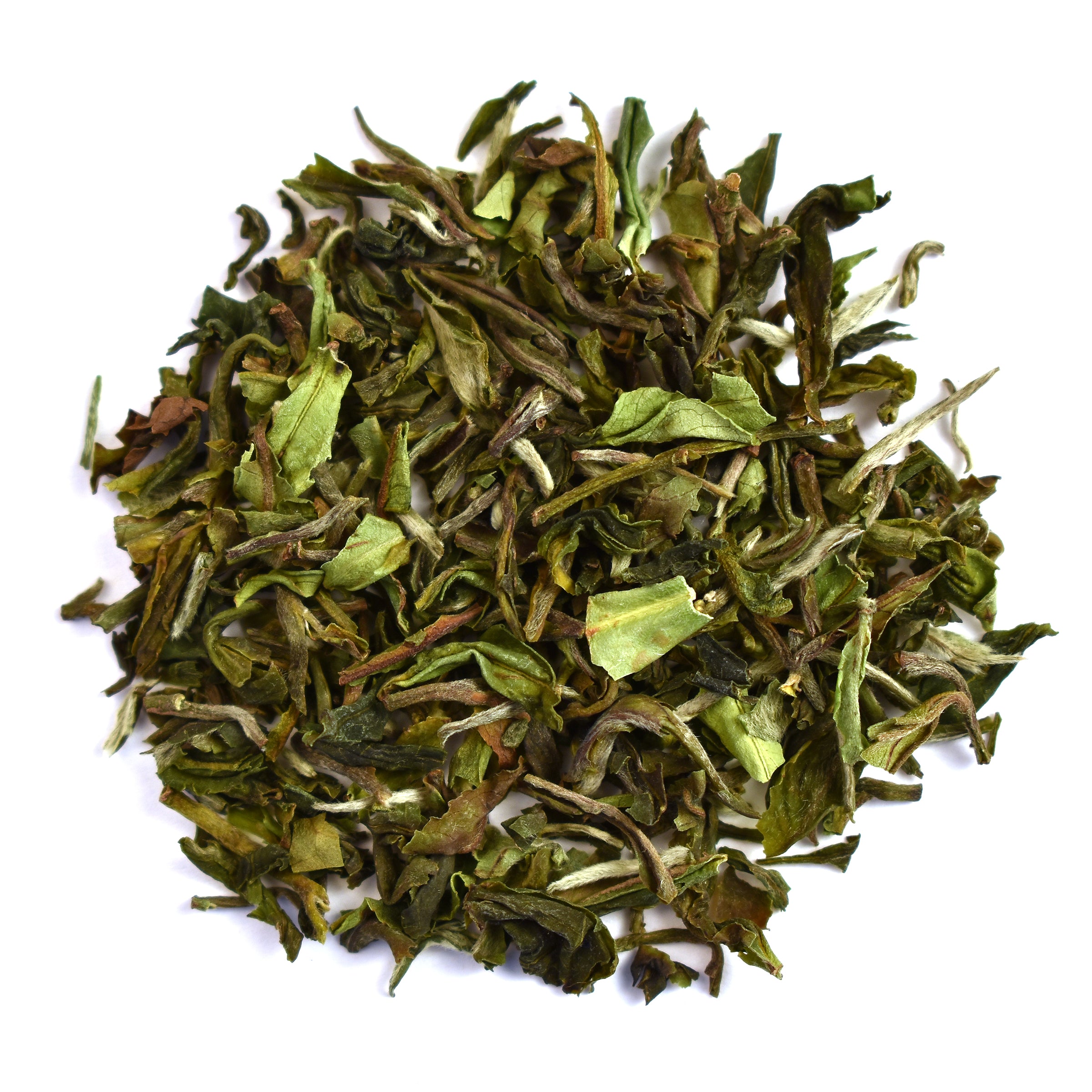 Seeyok Estate 2026 First Flush Darjeeling FTGFOP1 Heritage (DJ-6)
