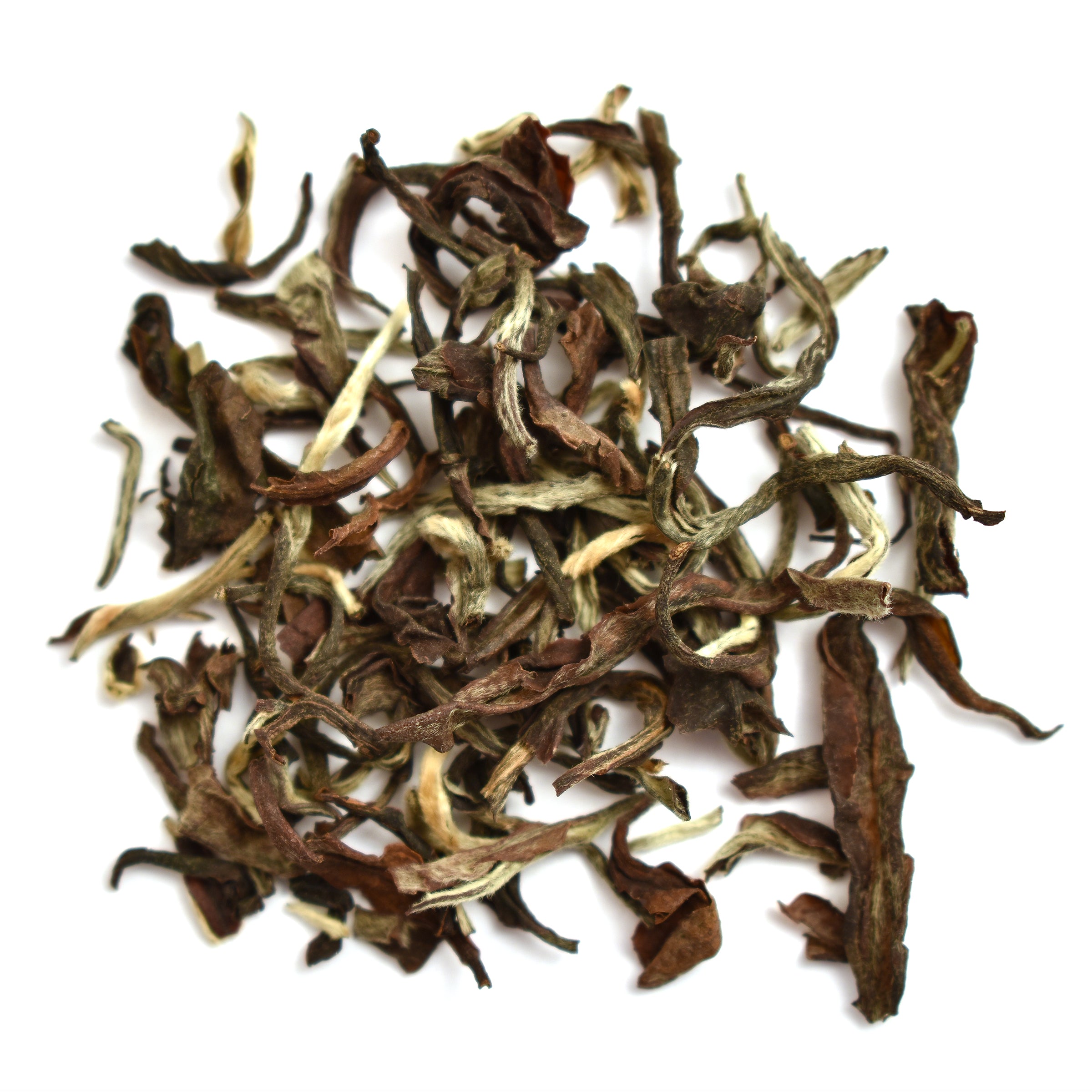 Singbulli Estate 2026 Second Flush FTGFOP1 Gold (EX-37) Darjeeling