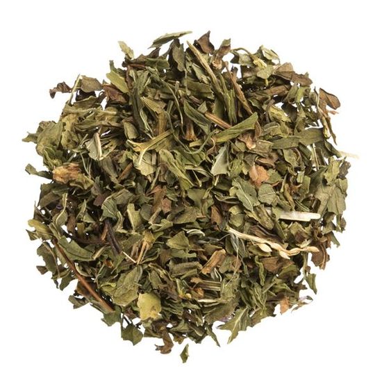 Spearmint Organic