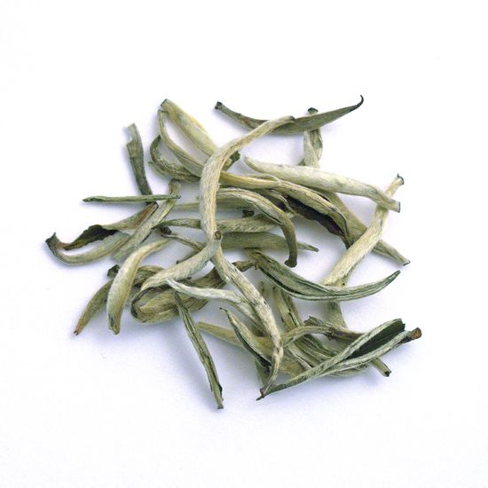 Yunnan Silver Needle - ZY109L